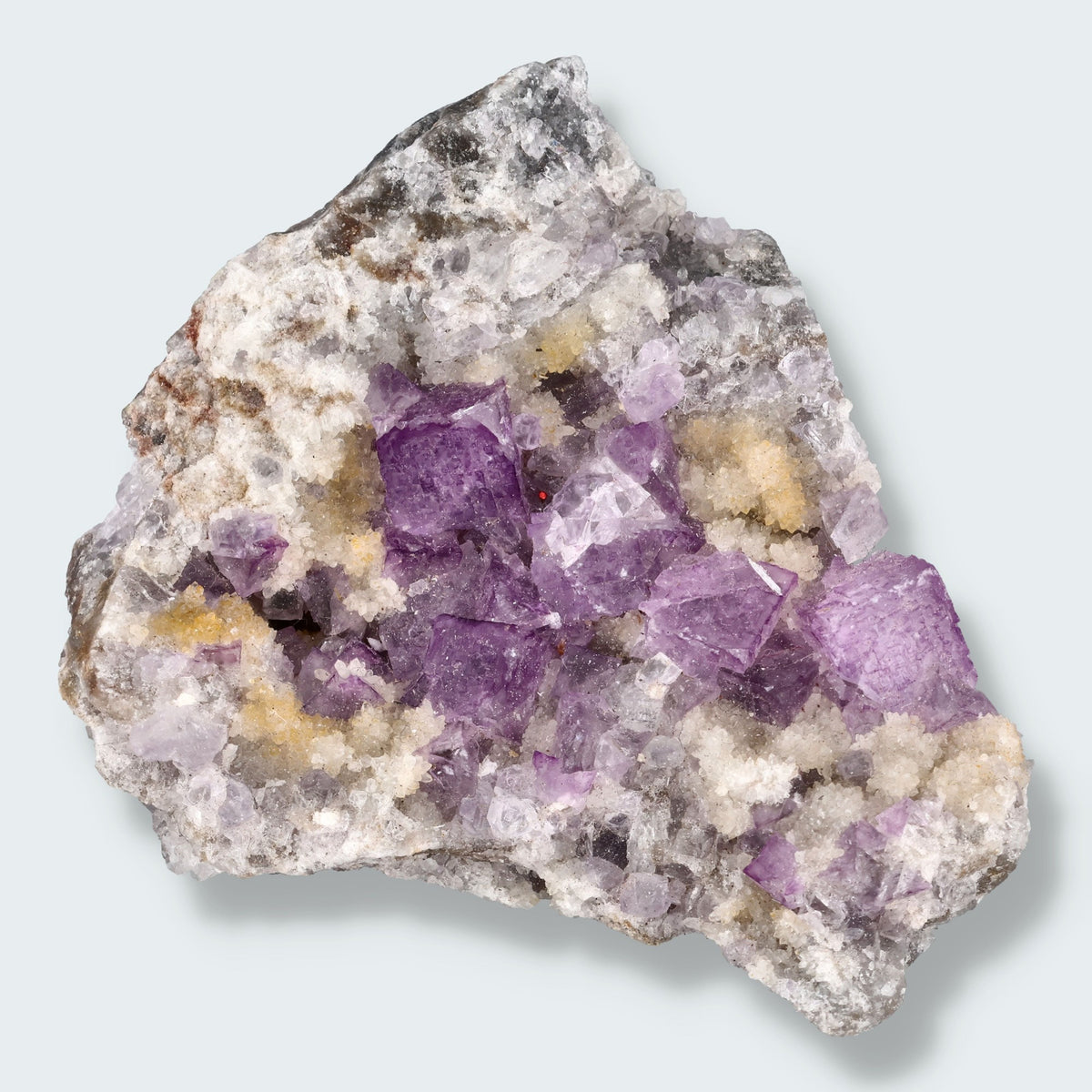 Polierter Fluorit Stein in Violett und Grün, natürliche Farbzonen, glatte Oberfläche, dekoratives Sammlerstück