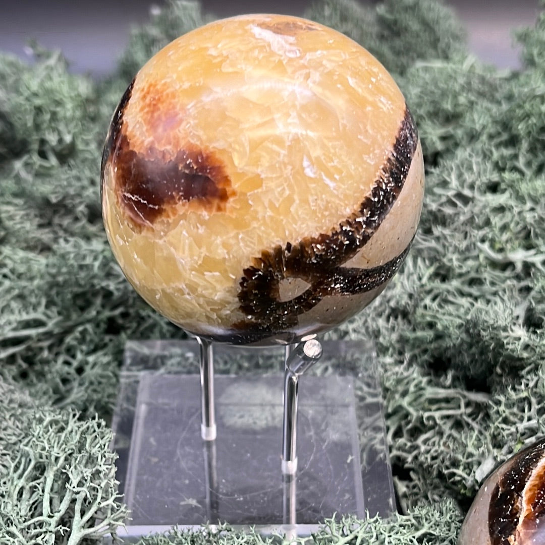 Septarie Kugeln - 1 Stück (~250g) - crystal paradise