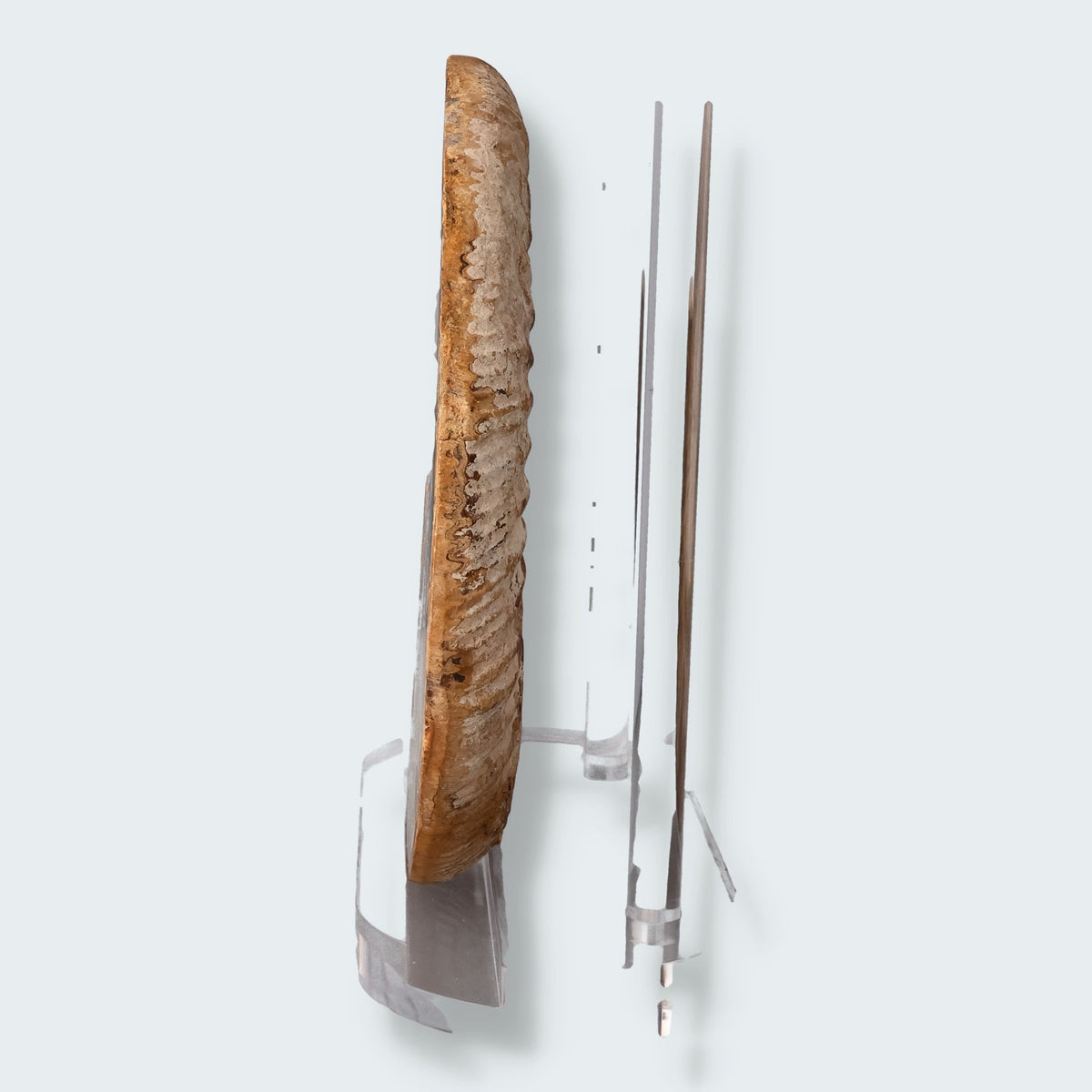 Ammonitenpaar aus Madagaskar (2668g) – Ansicht 3