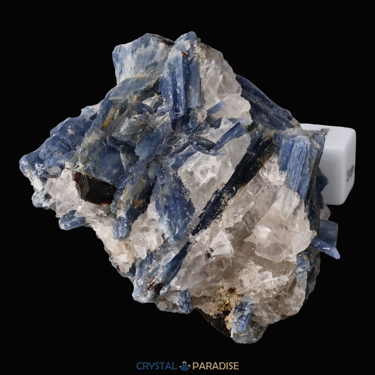 Blauer Kyanit aus Brasilien (784g) – Ansicht 10