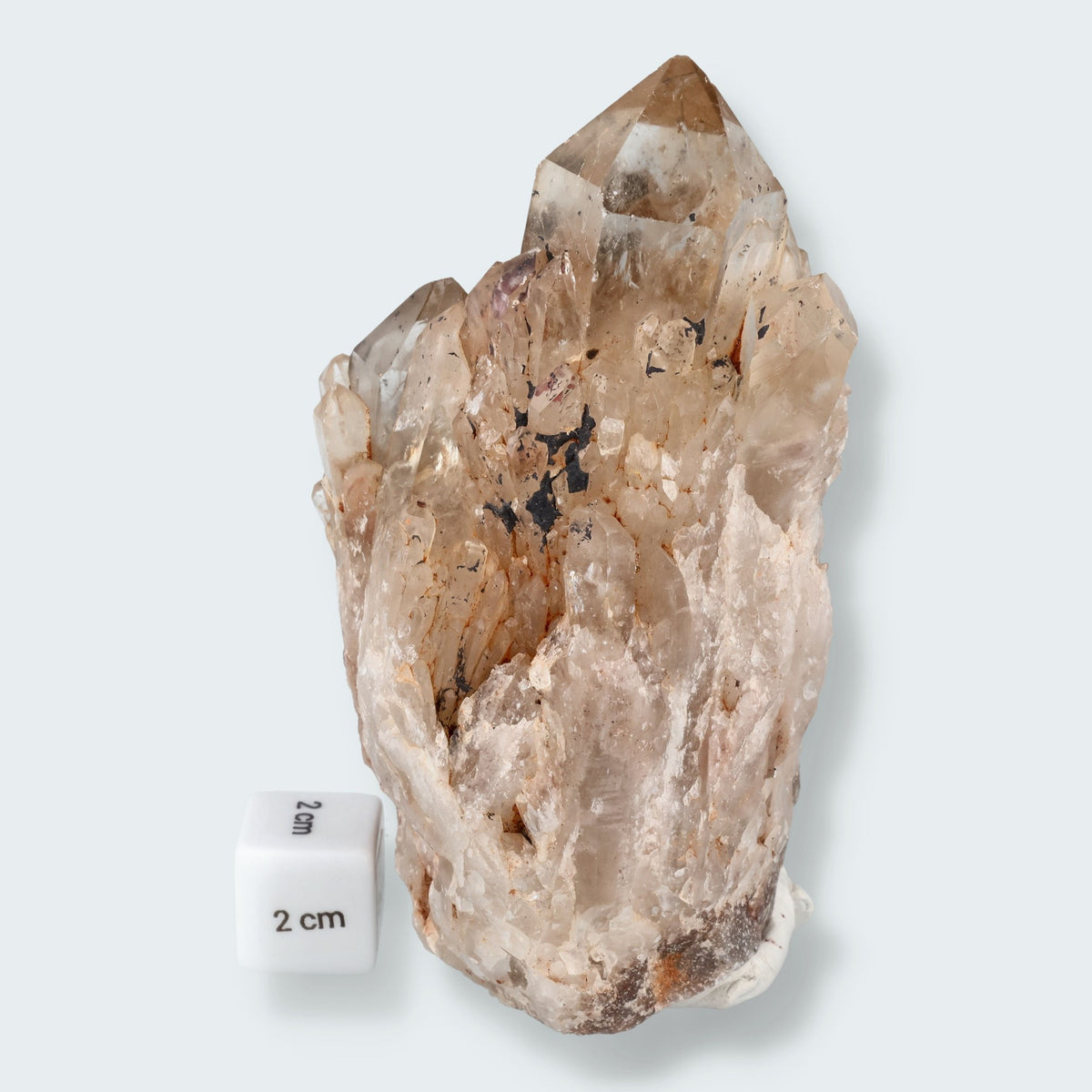 Citrin Stufe aus Kunduluni, Kongo (710g) - unbehandelt โ Ansicht 4