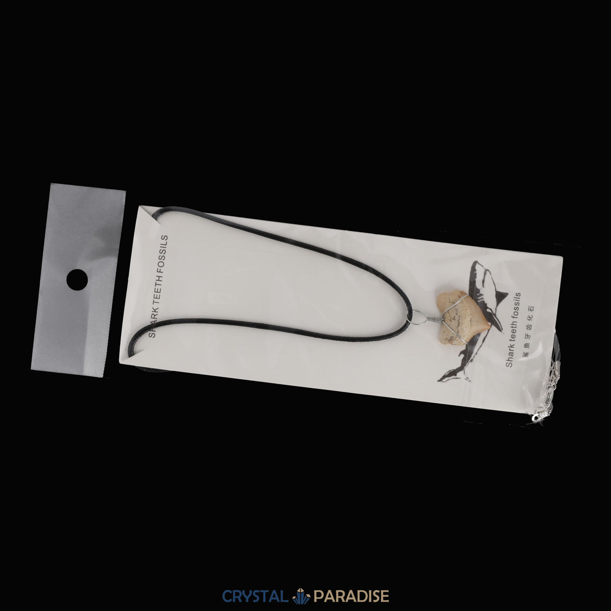 Haifischzahn Halskette (Fossil) – Ansicht 10