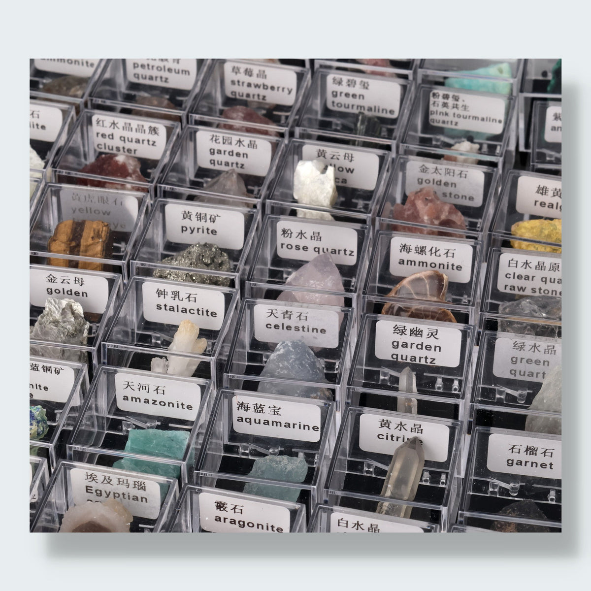 Mystery Specimen Box (3,5 cm) – Ansicht 2