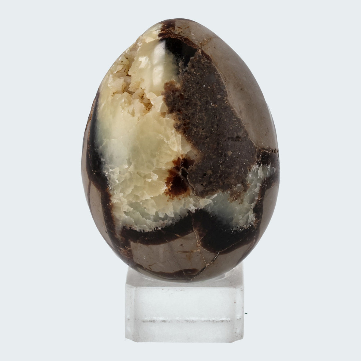 Septarie Druzy Eier (335-520g) – Ansicht 3
