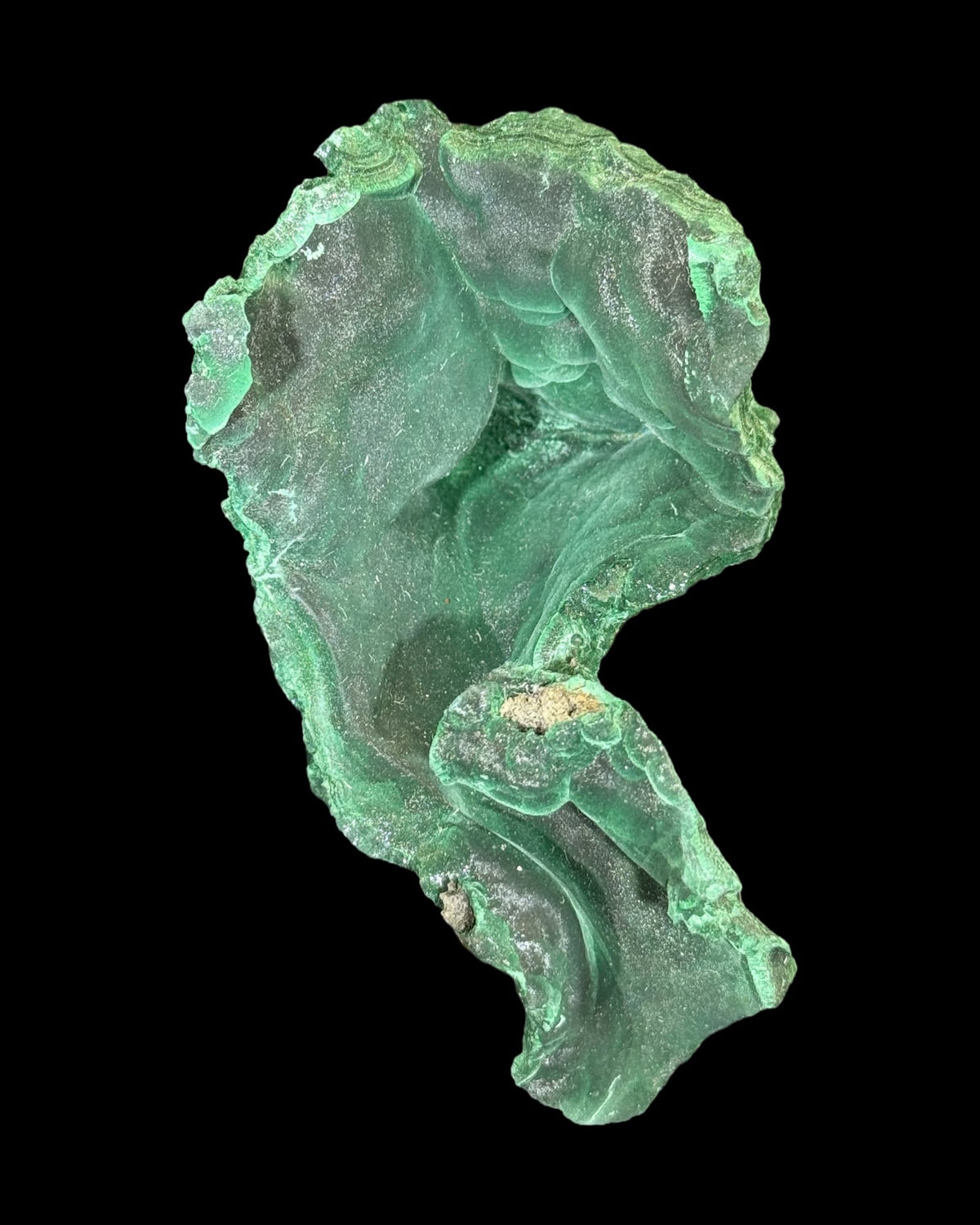 velvet malachit 452g vor schwarzem Hintergrund
