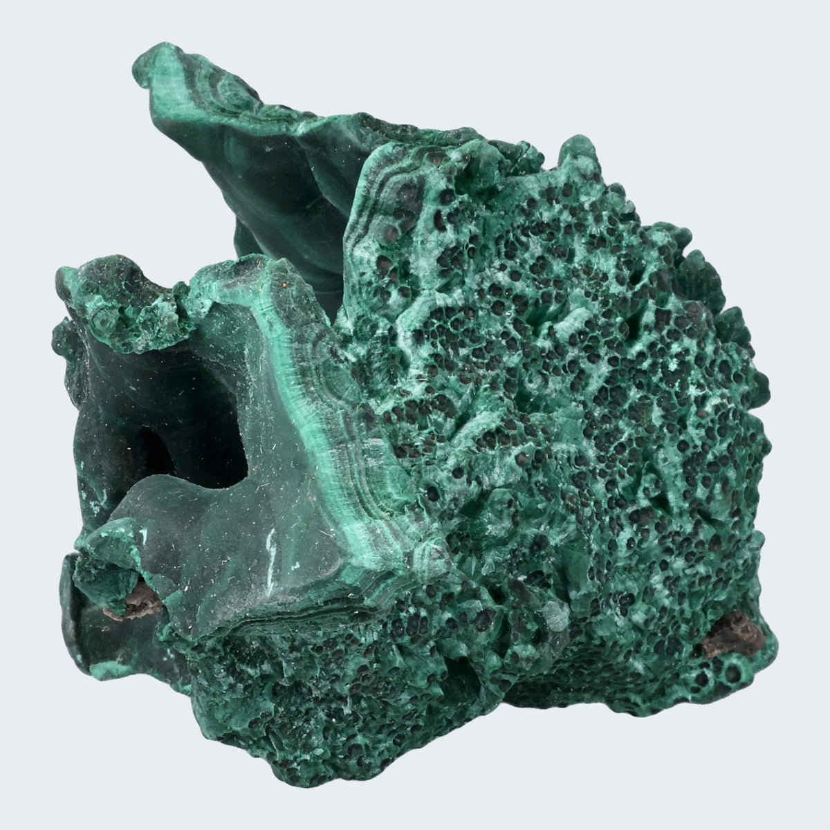 Velvet Malachit Stufe aus der Tantara Mine, Kongo (452g) – Ansicht 12