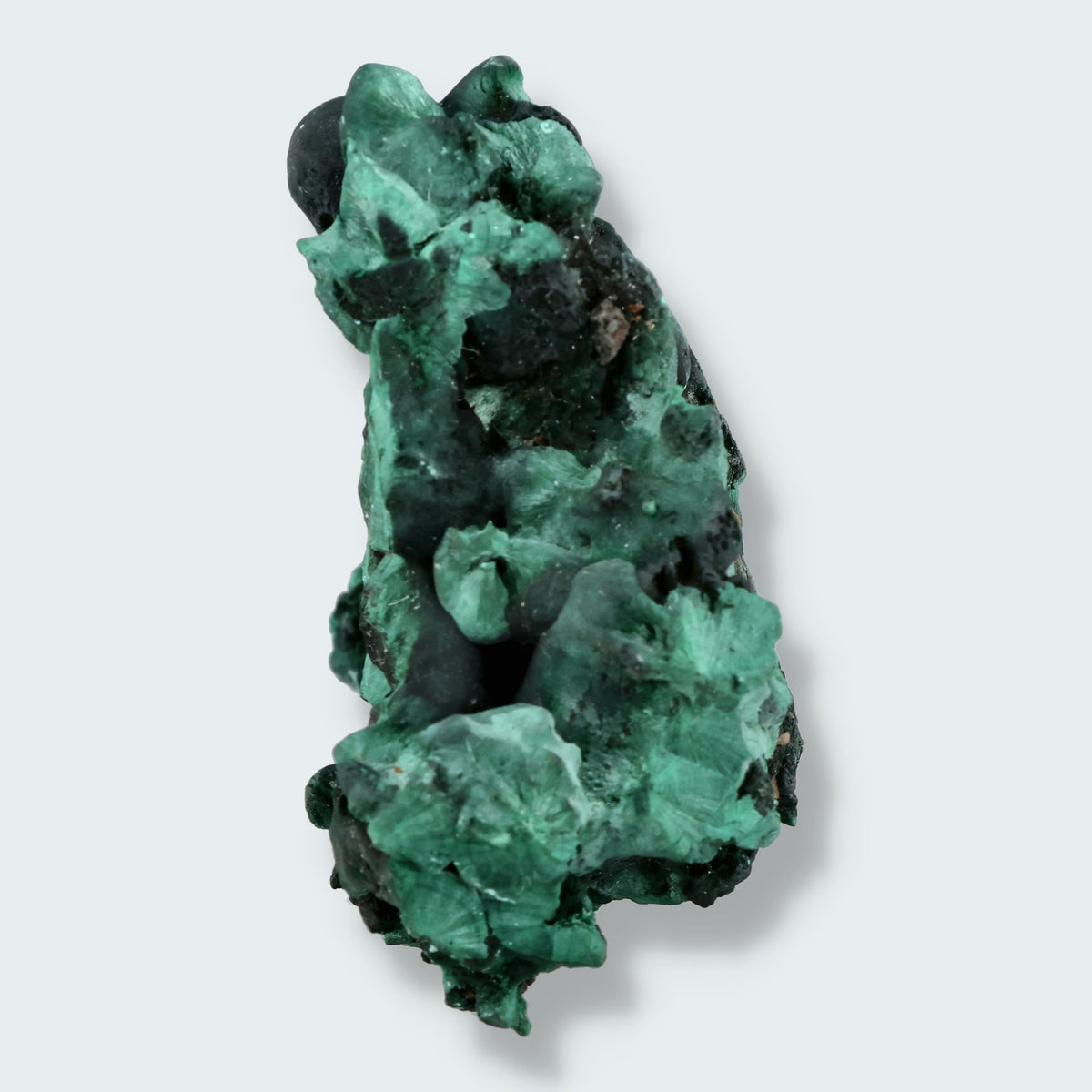 Velvet Samt Malachit Stufe aus der Tantara Mine, Kongo (157g) – Ansicht 3