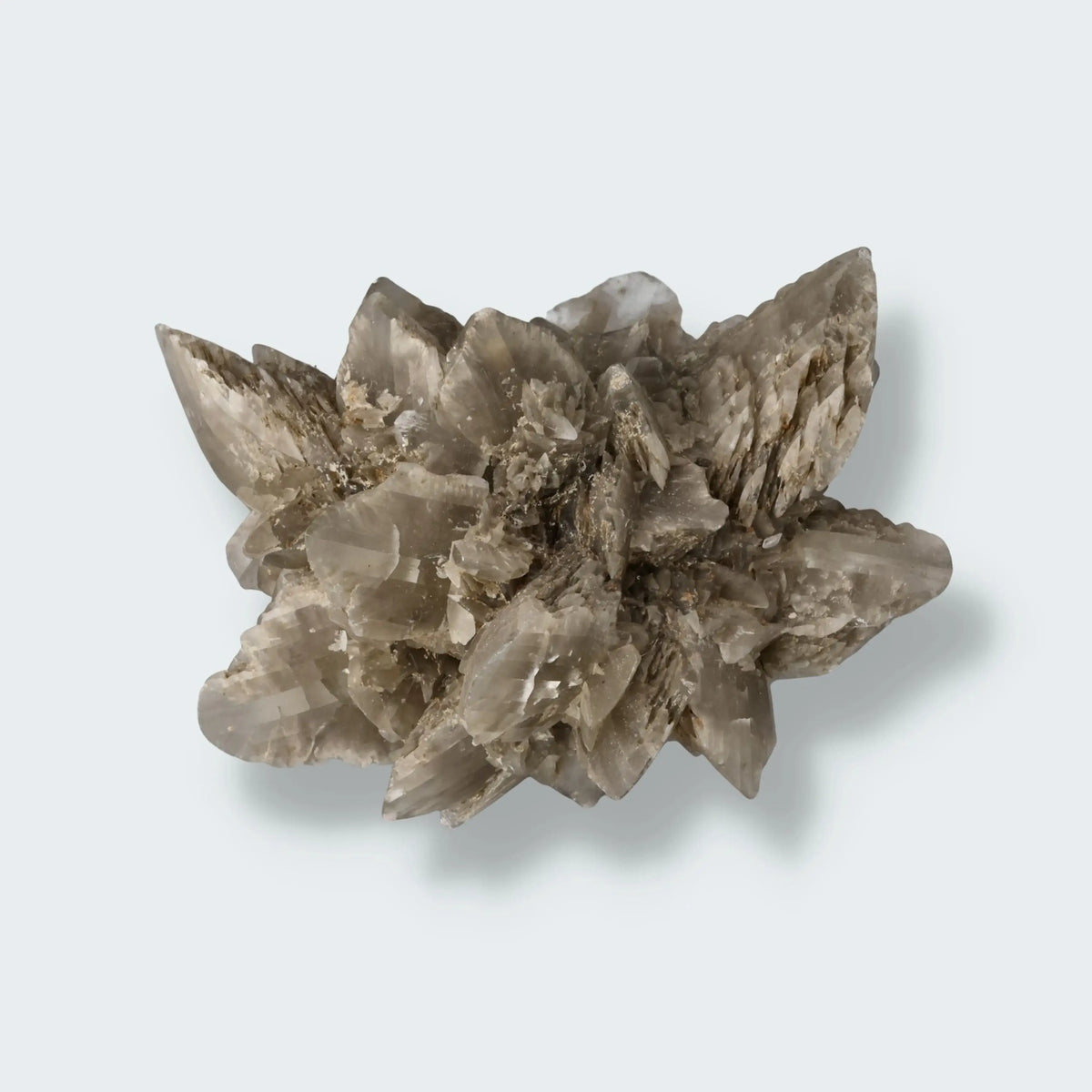 Selenit aus Hoxfeld (172g)