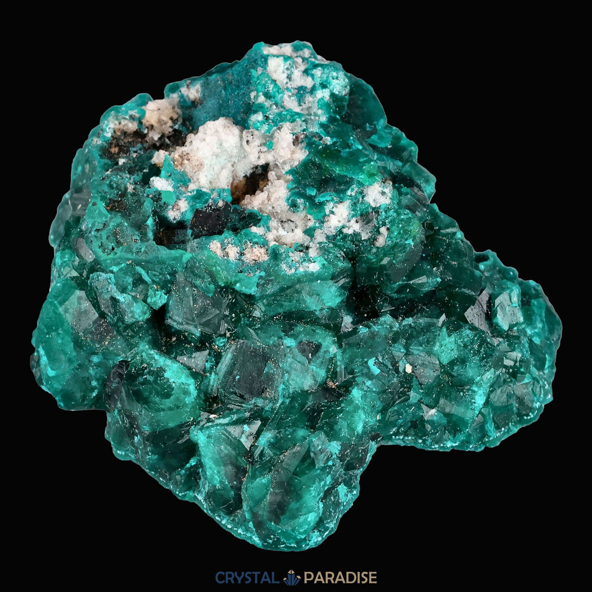 Dioptas aus dem Kongo (40,6) - crystal paradise