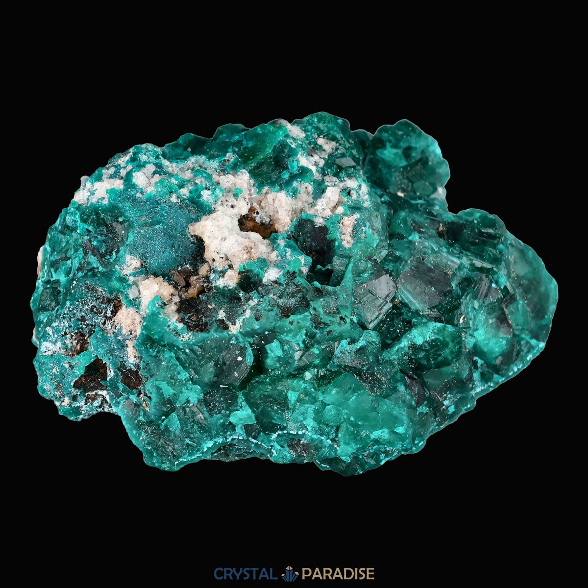 Dioptas aus dem Kongo (40,6) - crystal paradise