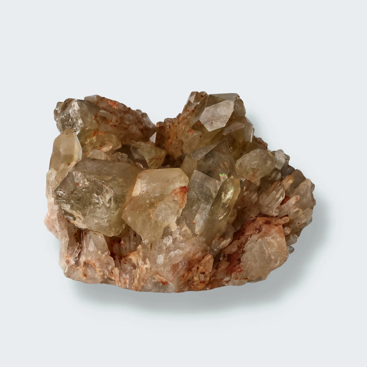 Citrin Stufe aus Kundalini, Kongo (1132g) - unbehandelt