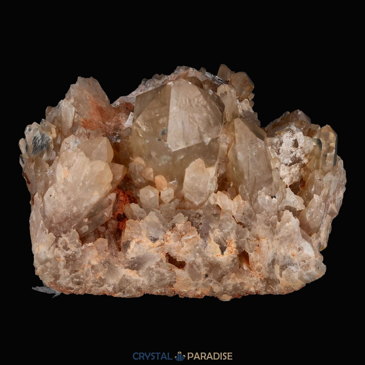 Citrin Handstufe aus Kunduluni, Kongo (1707g) - unbehandelt - crystal paradise