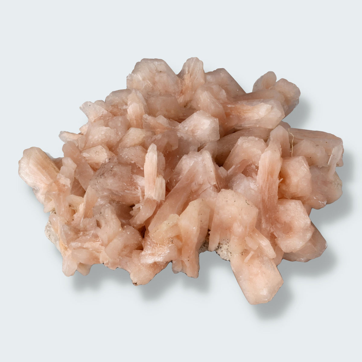 Stilbit Cluster Handstufe auf Zeolith aus Indien (147g)