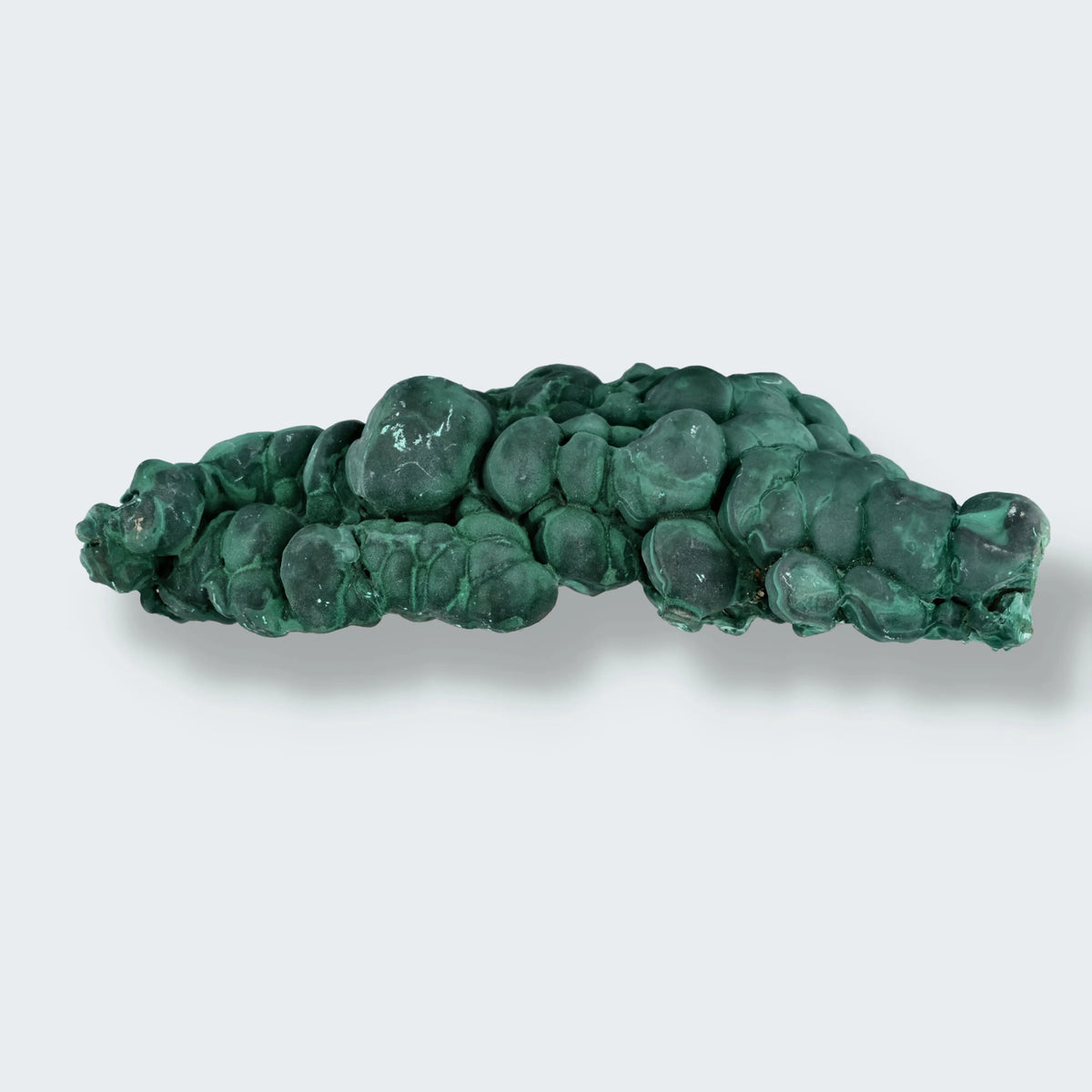 Velvet Samt Malachit Stufe aus der Tantara Mine, Kongo (720g)