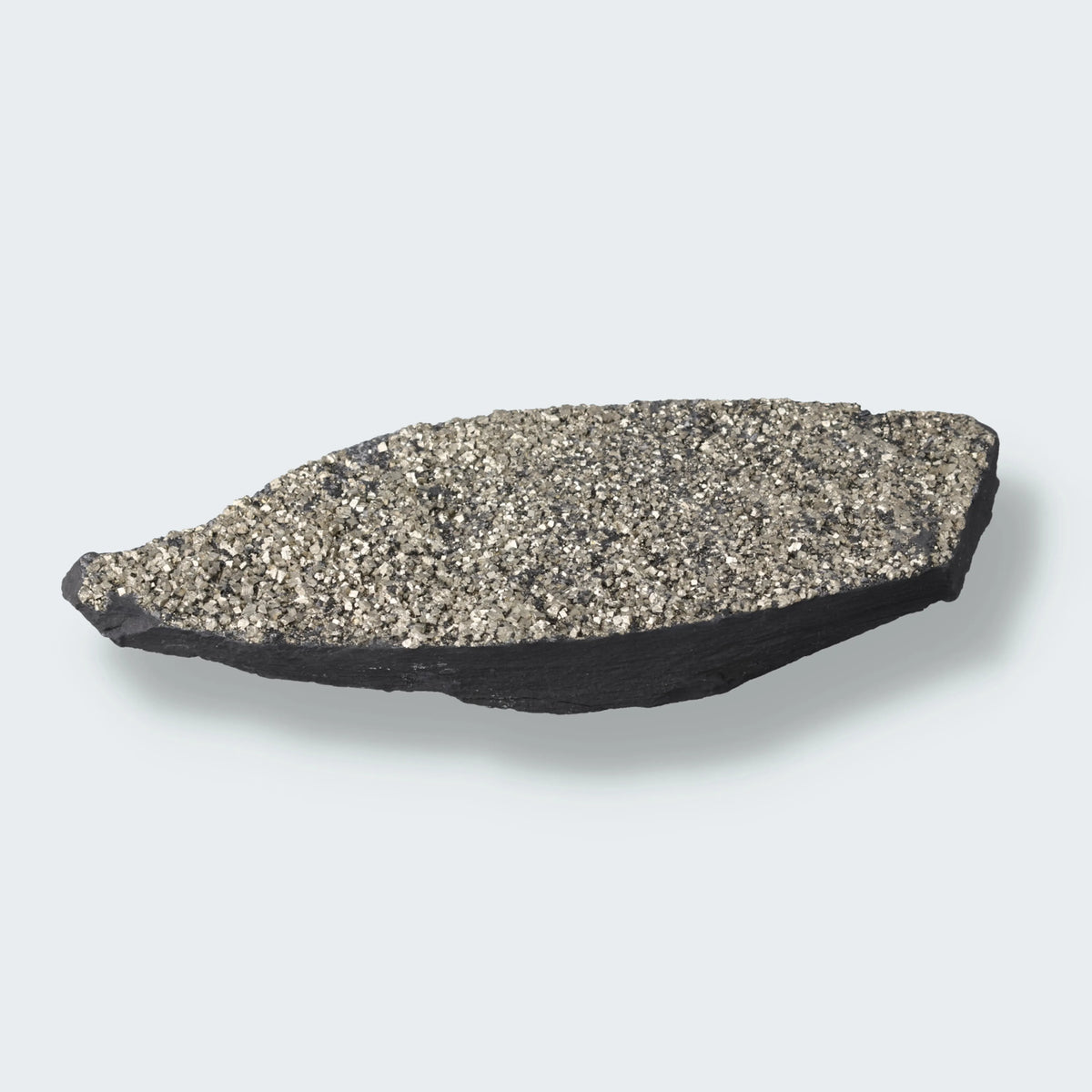 Pyrit auf Shungit aus Brasilien (495g)