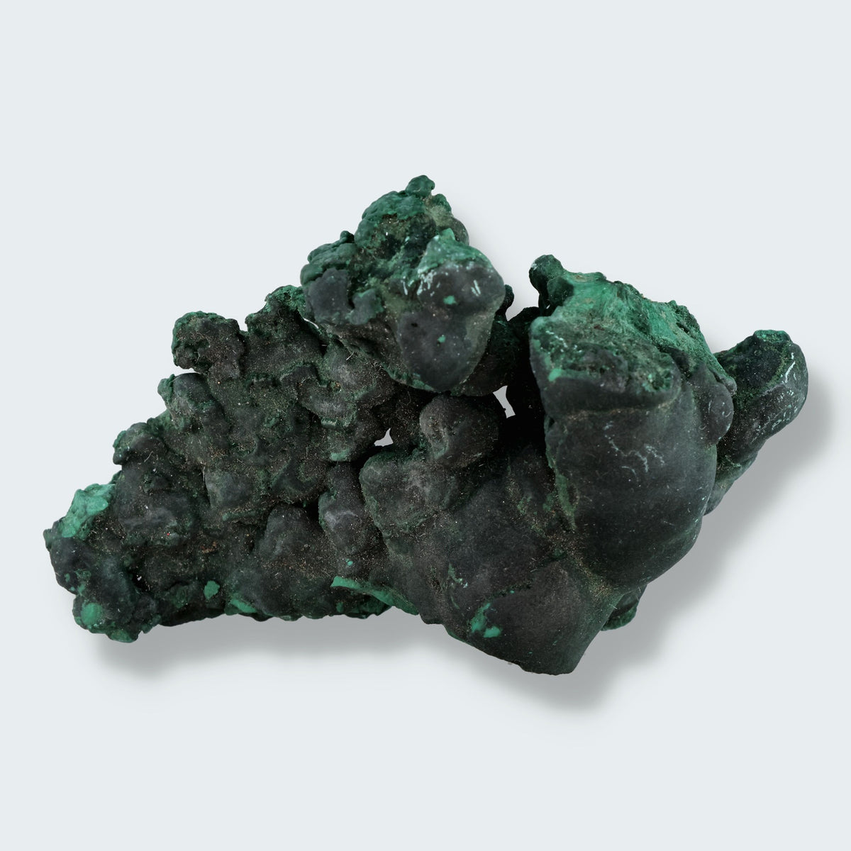Velvet Samt Malachit Stufe aus der Tantara Mine, Kongo (266g)