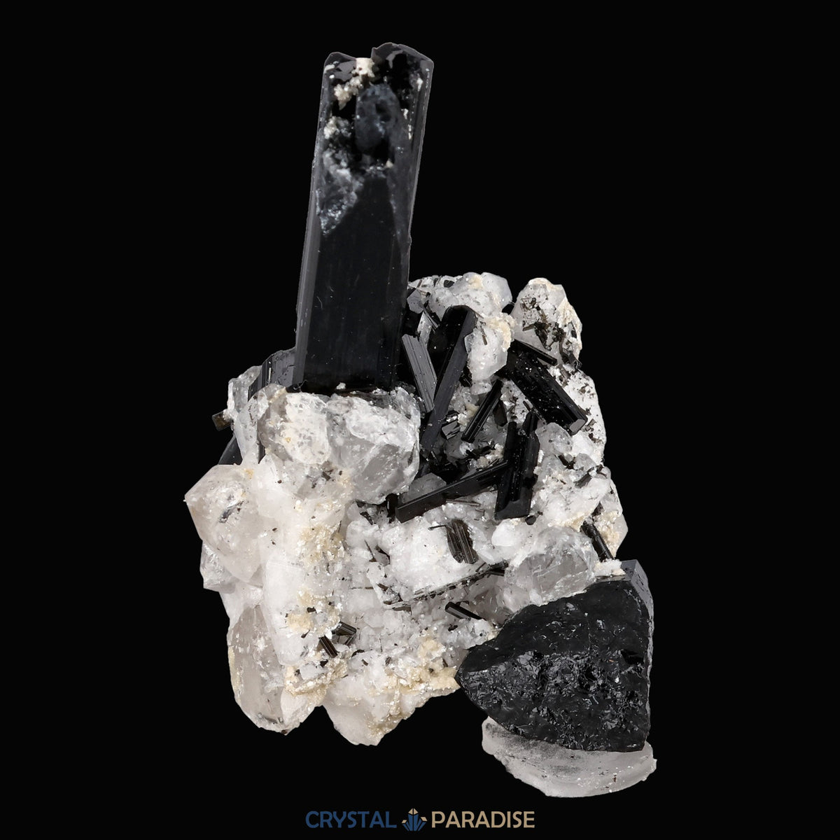 Schwarzer Schörl Turmalin an Himalaya Bergkristall (16g) - crystal paradise