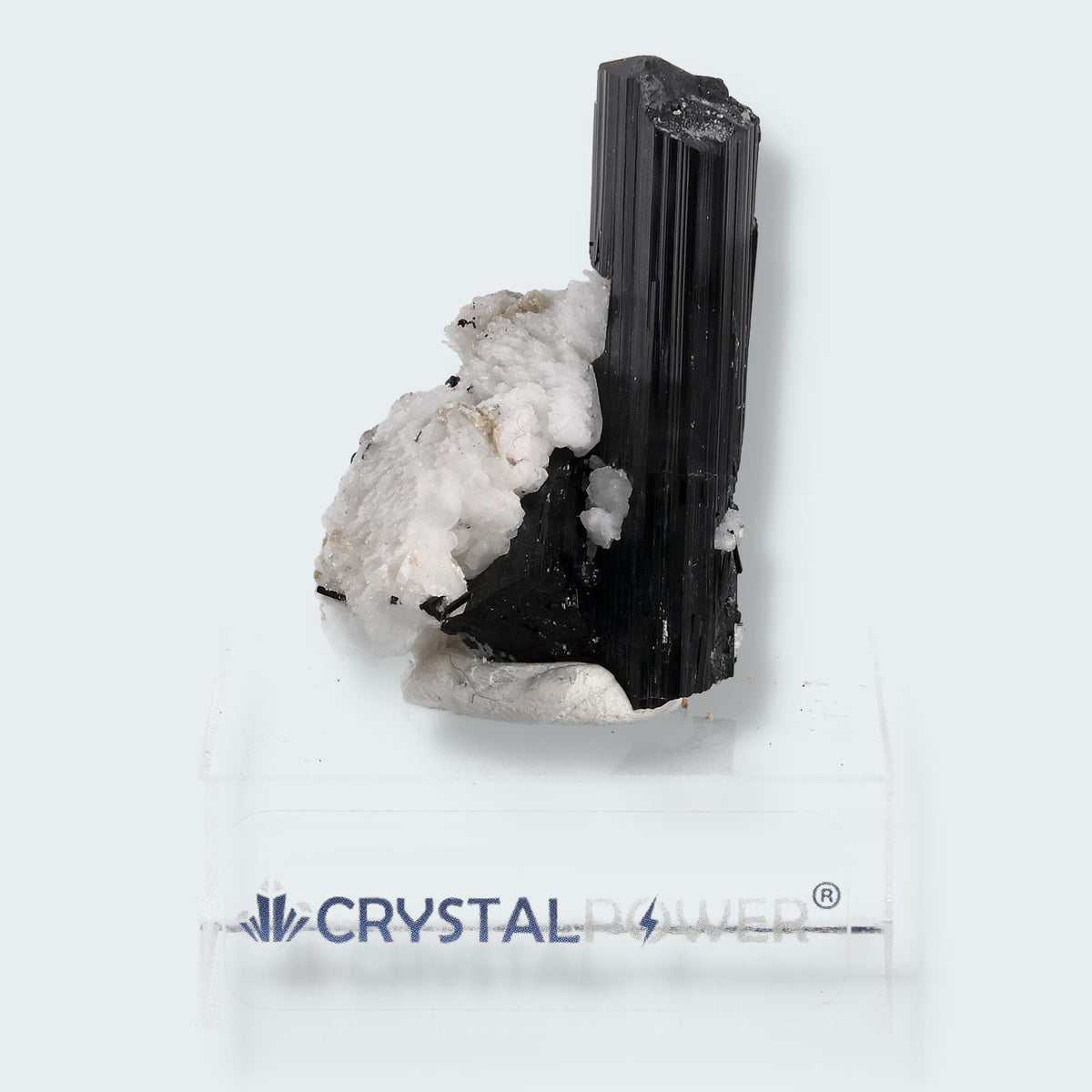 Schwarzer Schörl Turmalin an Himalaya Bergkristall (29g)