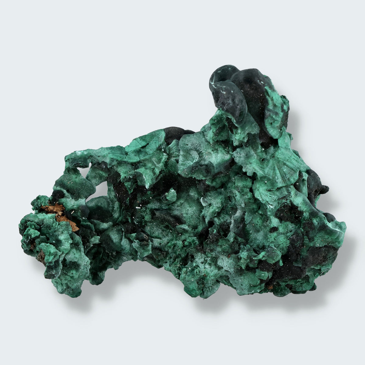 Velvet Samt Malachit Stufe aus der Tantara Mine, Kongo (157g)