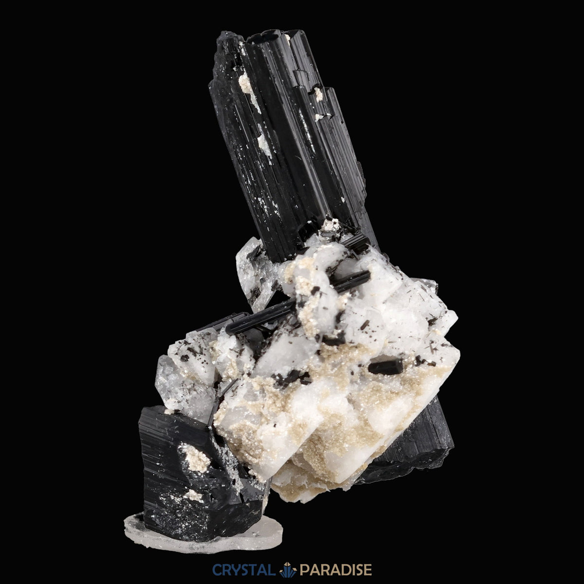 Schwarzer Schörl Turmalin an Himalaya Bergkristall (16g) - crystal paradise