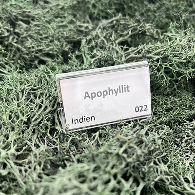 Schilder