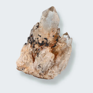 Citrin