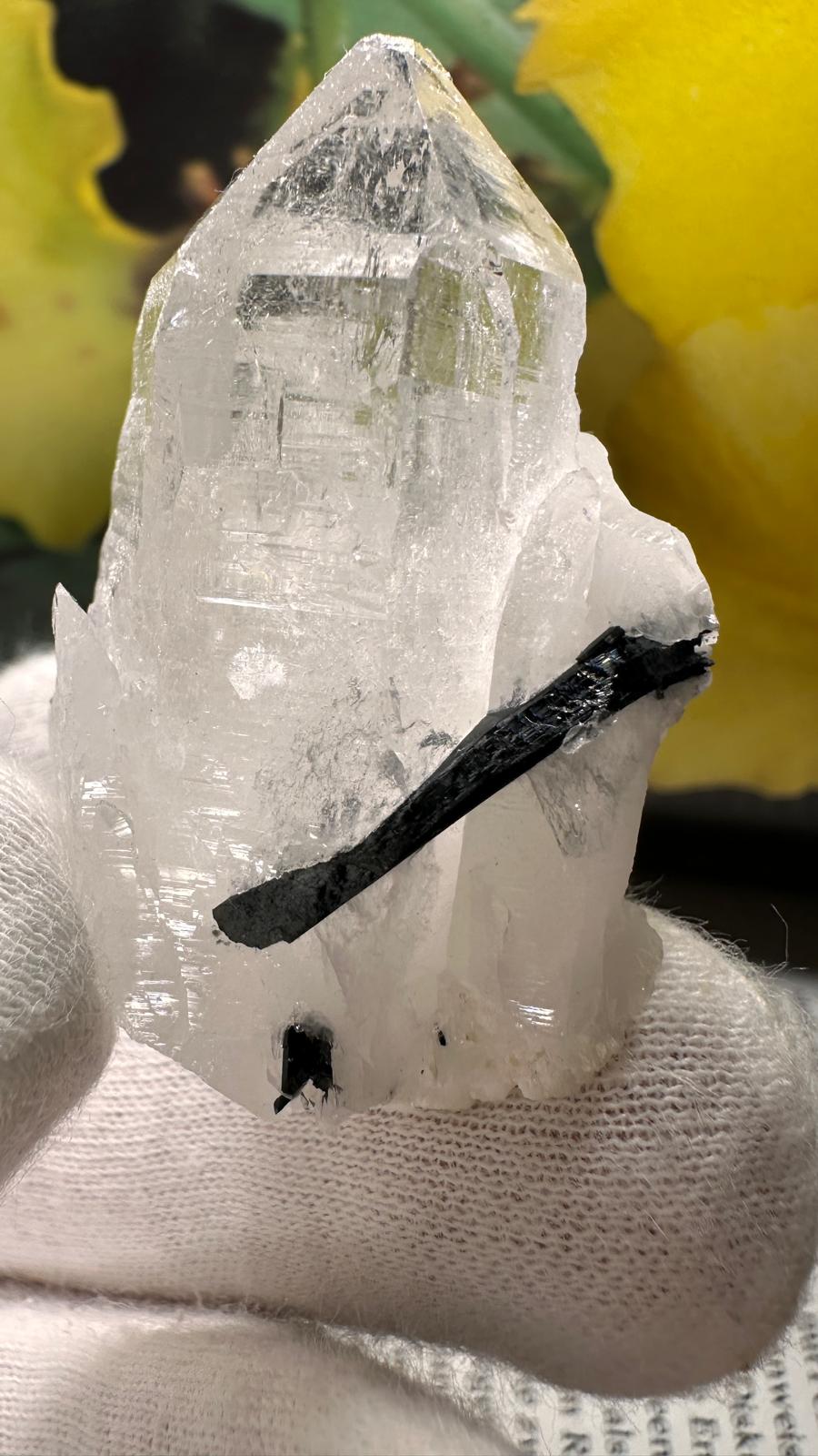 Schwarzer Schörl Turmalin an Himalaya Bergkristall (40g) - schöne Bergkristall Spitzen - crystal paradise