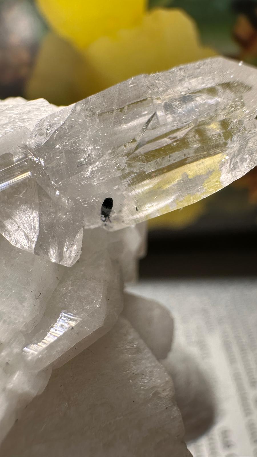 Schwarzer Schörl Turmalin an Himalaya Bergkristall (40g) - schöne Bergkristall Spitzen - crystal paradise
