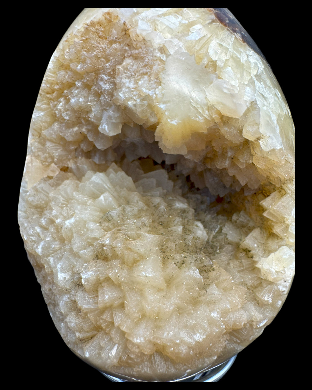 Septarie Ei (561g) - gross mit sehr schöne Druzys - crystal paradise