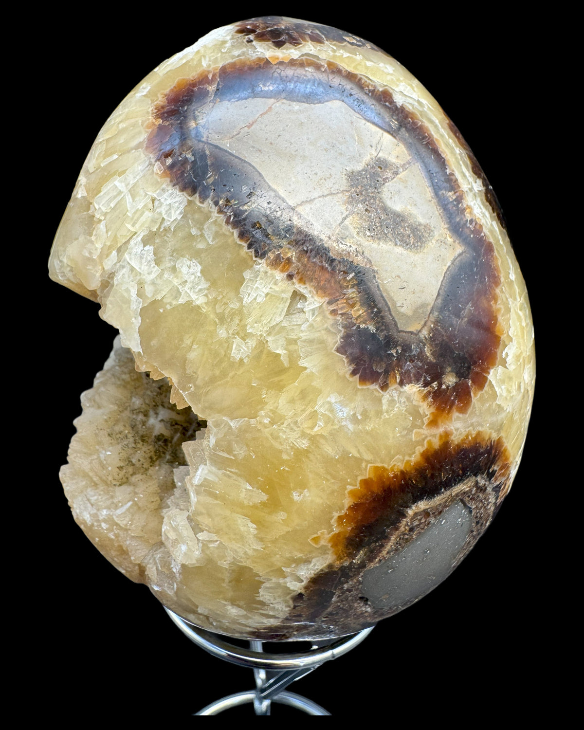 Septarie Ei (561g) - gross mit sehr schöne Druzys - crystal paradise