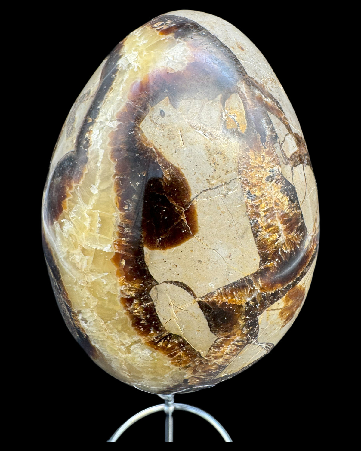Septarie Ei (561g) - gross mit sehr schöne Druzys - crystal paradise