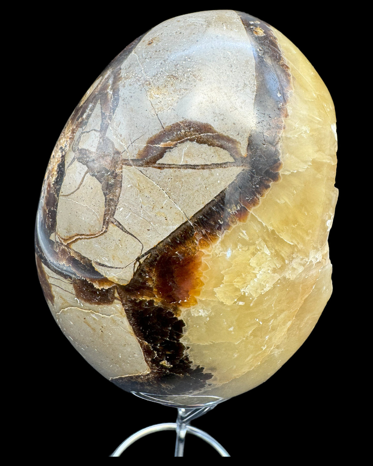 Septarie Ei (561g) - gross mit sehr schöne Druzys - crystal paradise