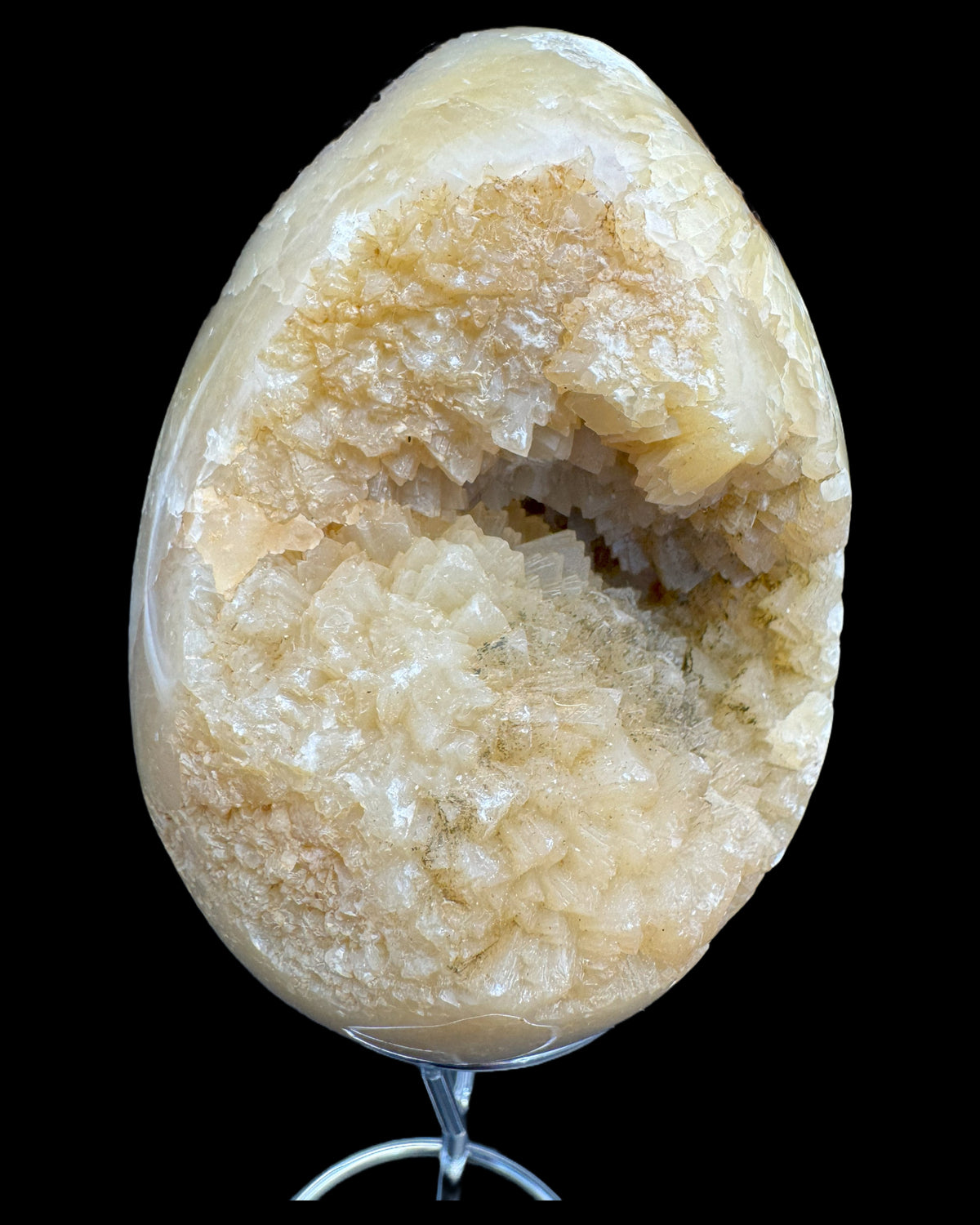 Septarie Ei (561g) - gross mit sehr schöne Druzys - crystal paradise