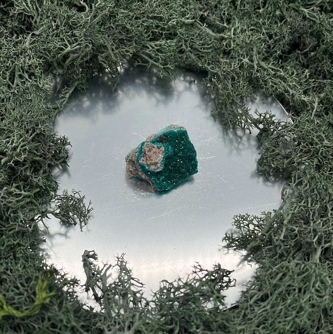 Dioptas Stufe aus Mindouli (7g) - exquisites smaragdgrün