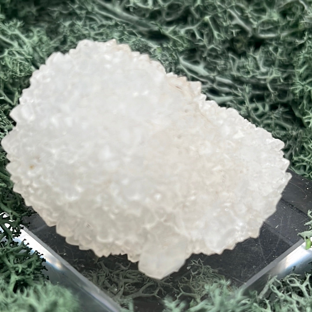 Apophyllit Stufe aus Indien (59g) - viele Kristalle in Igelform - crystal paradise