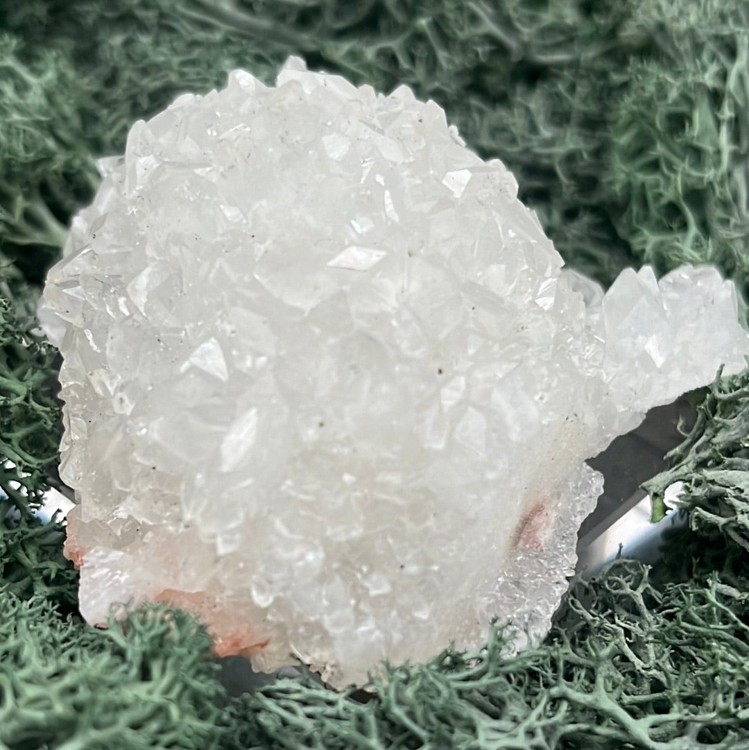 Apophyllit Stufe aus Indien (108g) - viele Kristalle in Igelform - crystal paradise