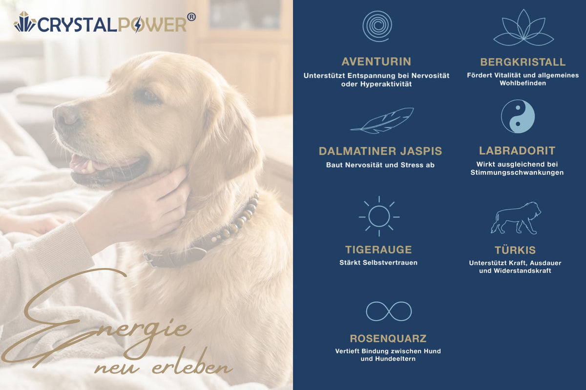 Heilsteinwirkung auf Hunde
