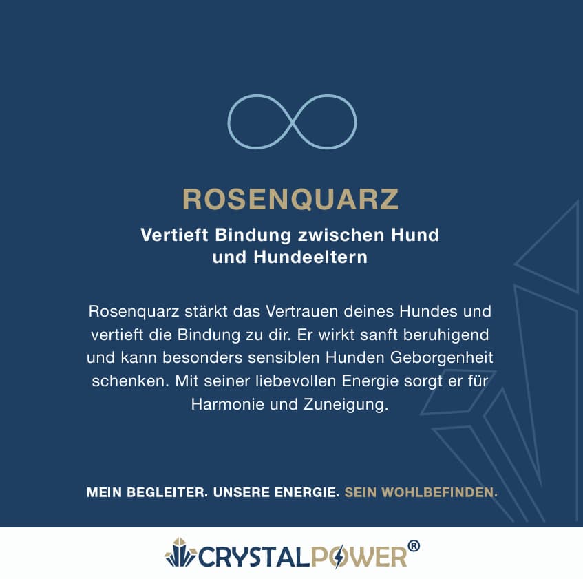 Rosenquarz–vertieft Bindung zwischen Hund und Hundeeltern