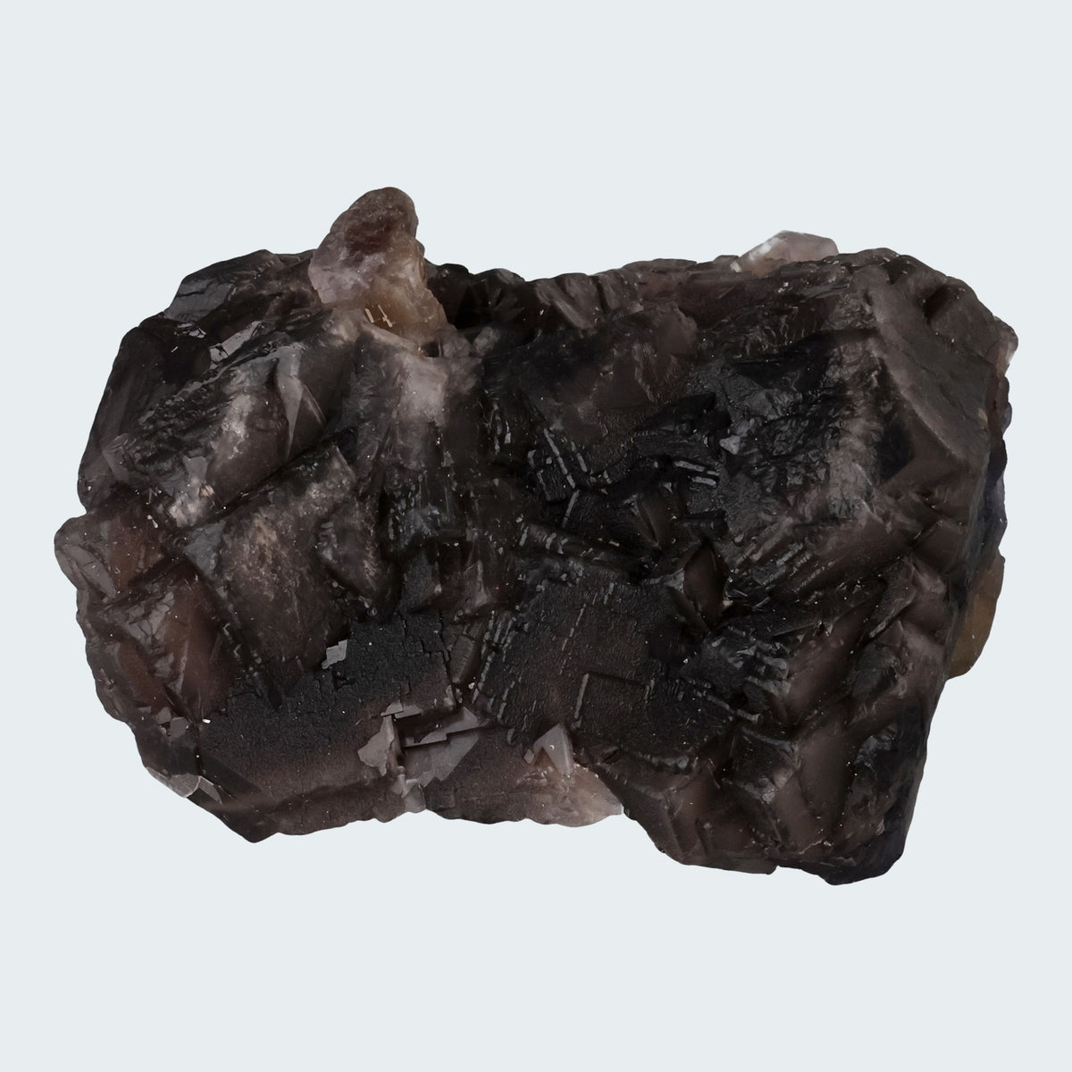 Schwarzer Rosen-Fluorit aus Baluchistan Pakistan (280g)