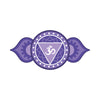 Chakra 2 – Sakralchakra
