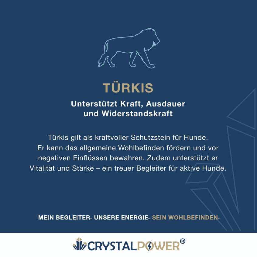 Türkis–unterstützt Kraft, Ausdauer und Widerstandskraft-