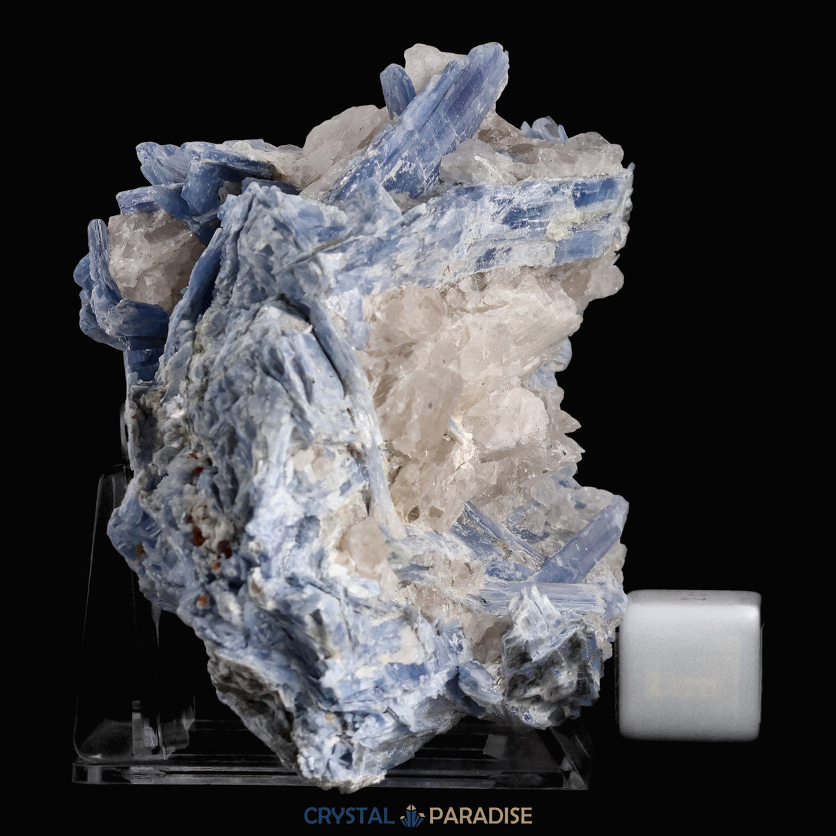 Blauer Kyanit aus Brasilien (1303g) – Ansicht 6