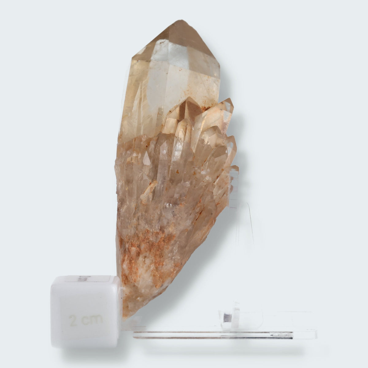 Citrin Stufe aus Kundalini, Kongo (169g) - unbehandelt – Ansicht 4