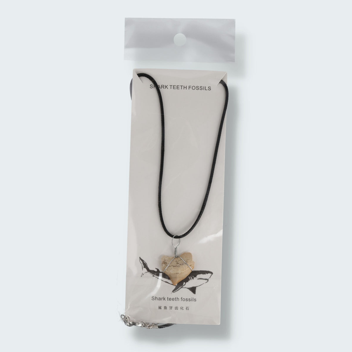 Haifischzahn Halskette (Fossil) – Ansicht 2