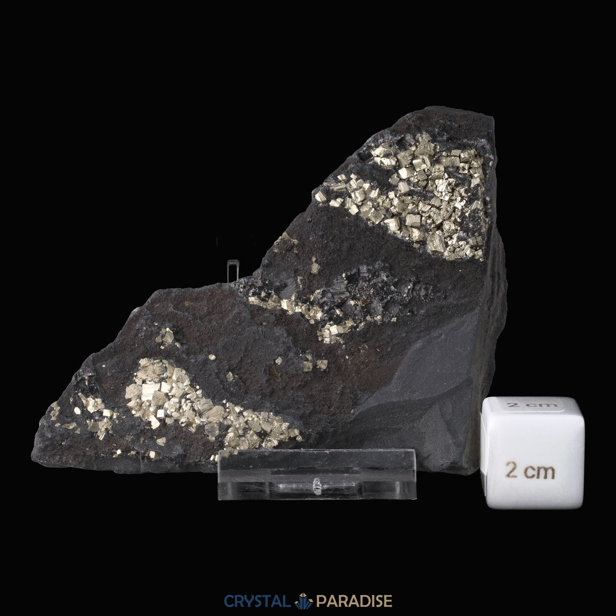 Pyrit auf Shungit aus Brasilien (188g) – Ansicht 3