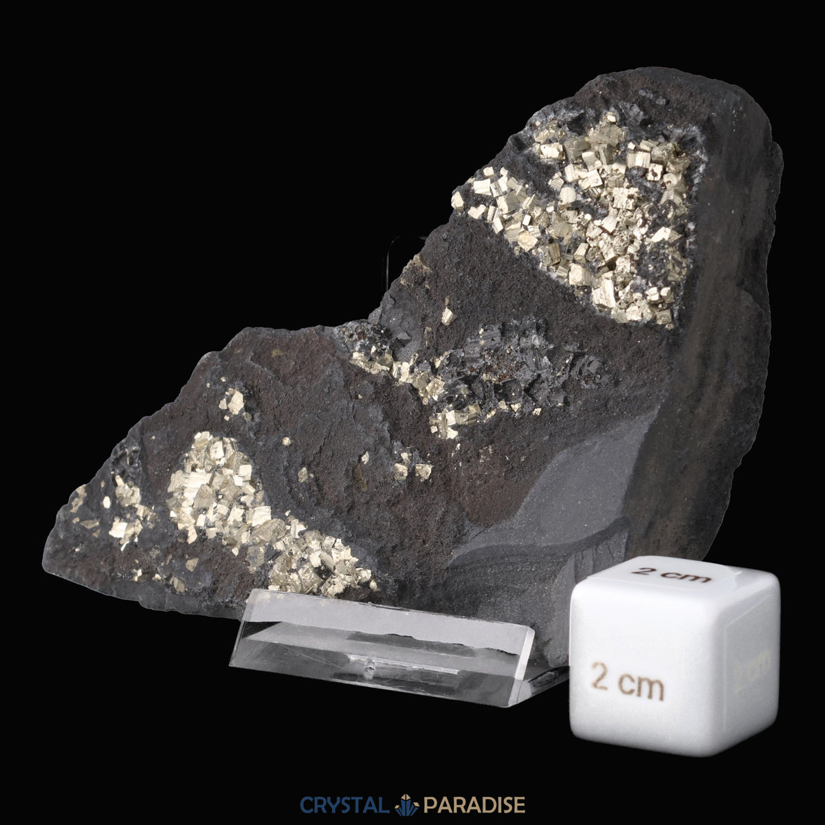 Pyrit auf Shungit aus Brasilien (188g) – Ansicht 4