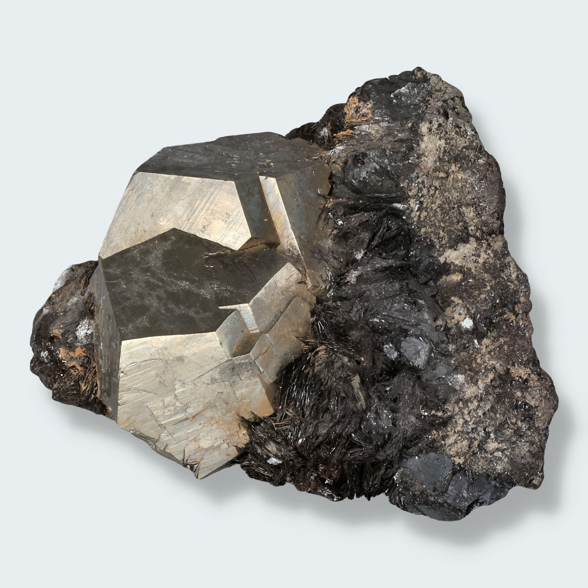 Pyrit mit Hämatit aus Elba, Italien (210g) – Ansicht 2