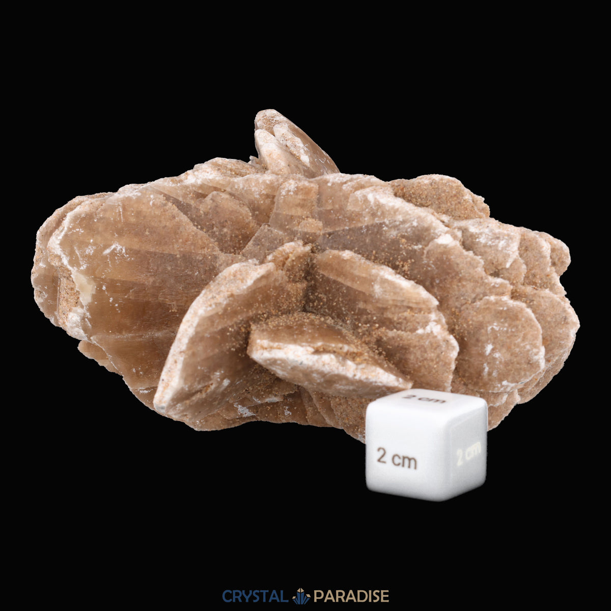 Sandrose aus der inneren Mongolei, China (585g) – Ansicht 6