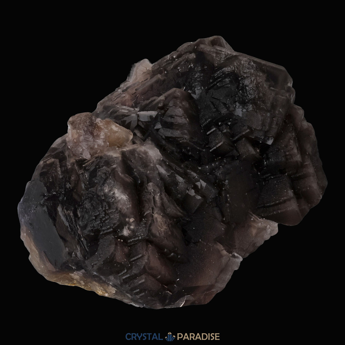 Schwarzer Rosen-Fluorit aus Baluchistan Pakistan (280g) – Ansicht 14