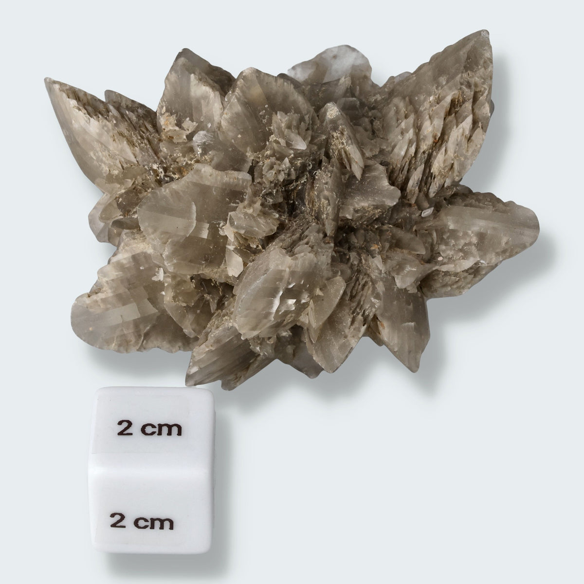 Selenit aus Hoxfeld (172g) – Ansicht 2